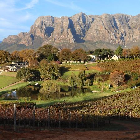 Alluvia Boutique Winery & Luxury Accommodation Stellenbosch Exterior photo The Paarl Mountain Range
