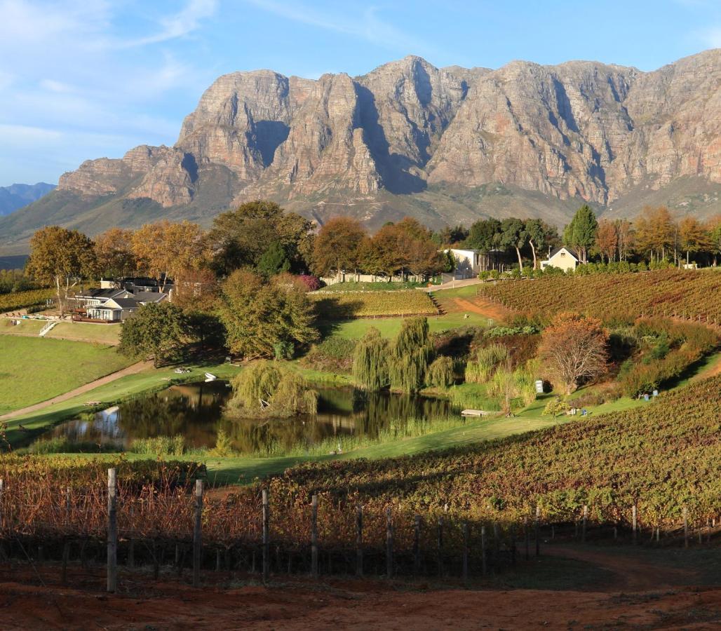 Alluvia Boutique Winery & Luxury Accommodation Stellenbosch Exterior photo The Paarl Mountain Range