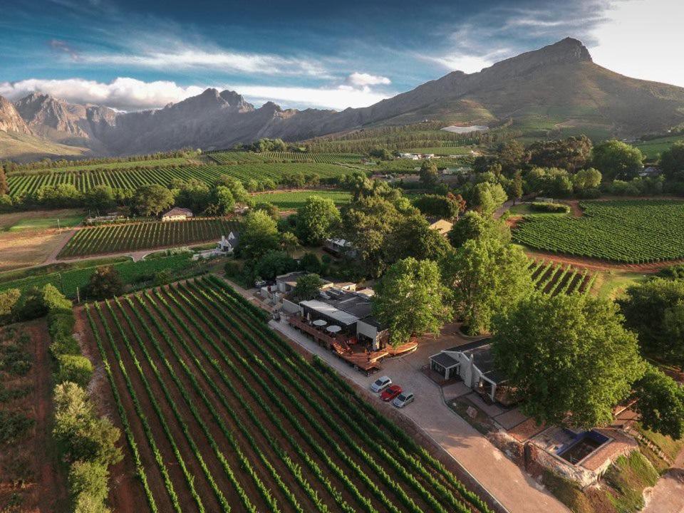 Alluvia Boutique Winery & Luxury Accommodation Stellenbosch Exterior photo Aerial view of the winery