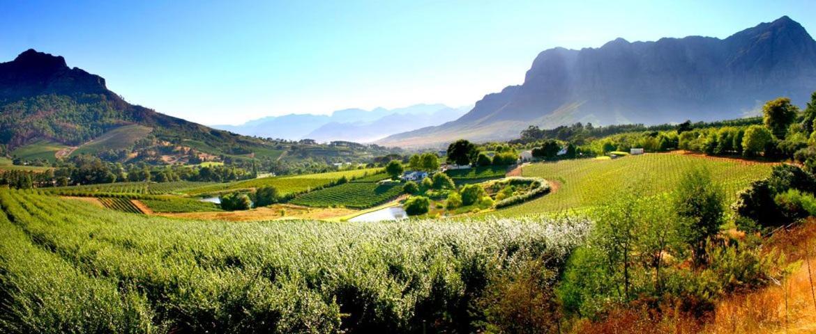 Alluvia Boutique Winery & Luxury Accommodation Stellenbosch Exterior photo The Paarl Wine Route