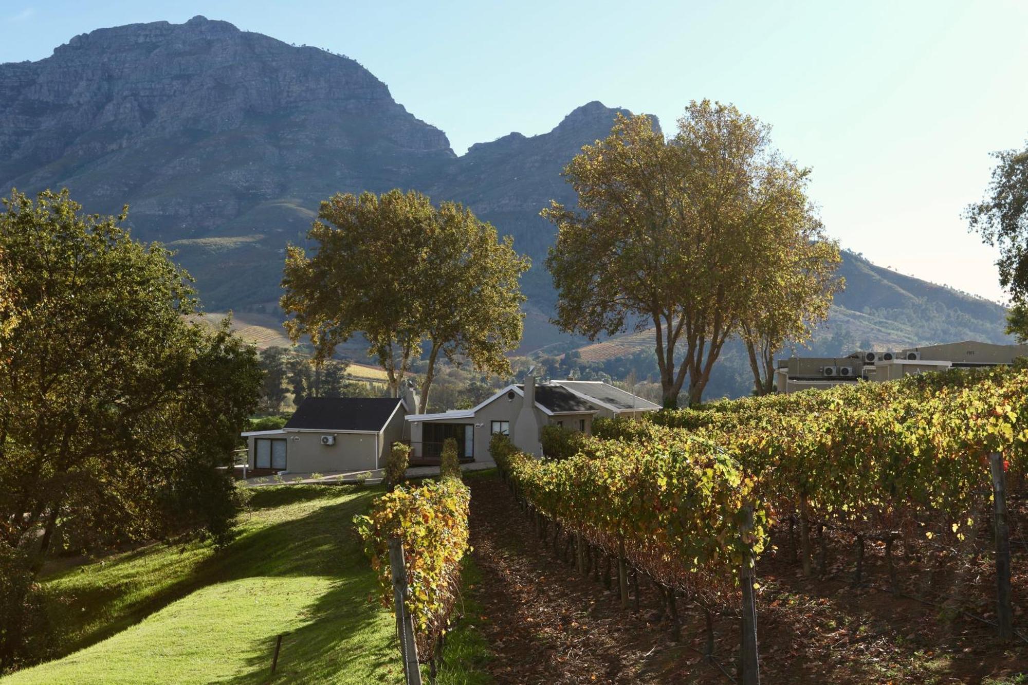 Alluvia Boutique Winery & Luxury Accommodation Stellenbosch Room photo Wine estate in Stellenbosch